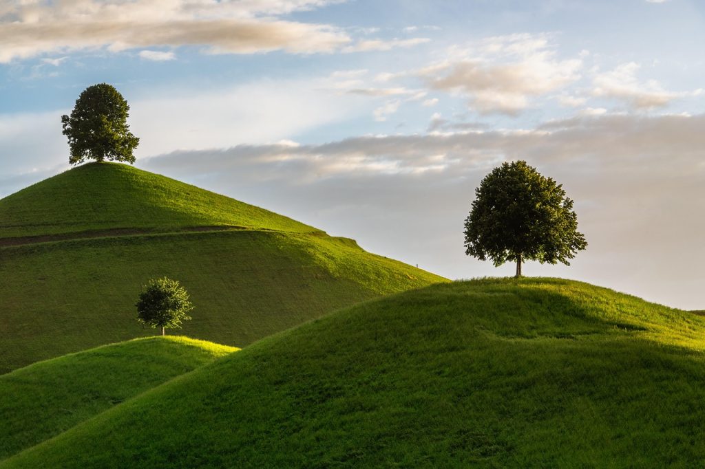 hill, nature, tree, drumlin, landscape