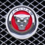 Close-up of Jaguar car emblem on a metallic chrome grille with a red background.